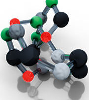 Physio-11-Metabolism