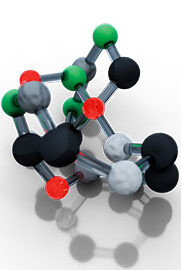 Physio-11-Metabolism