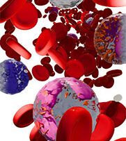 Physio-2-Haemotology