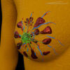 A UL 2 Mammary Gland – Thumbnail