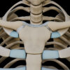 A UL 6 Clavicular joints – Thumbnail