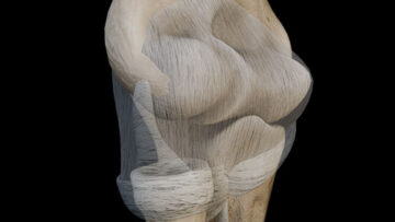 A UL 17 Elbow Joint – Thumbnail