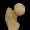 A LL 3 – Femur – Thumbnail