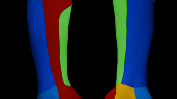 A UL 18 – Forearm – Surface Anatomy, General Layout – Thumbnail