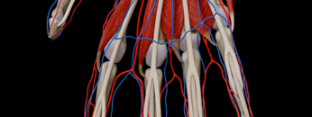 AUL 28 – Vessels of Hand – Thumbnail