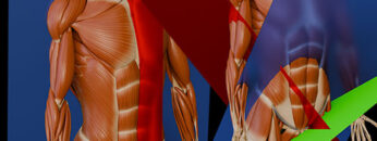 GA2 – Nomenclature – Thumbnail