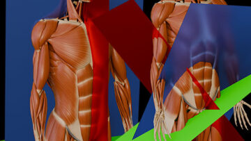 GA2 – Nomenclature – Thumbnail