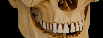 GA4 – General Anatomy of Joints – Thumbnail