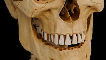 GA4 – General Anatomy of Joints – Thumbnail